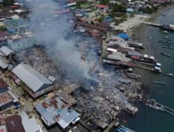 Kerugian Capai 2 Milyar, Ini Penyebab Kebakaran Di Halmahera Timur