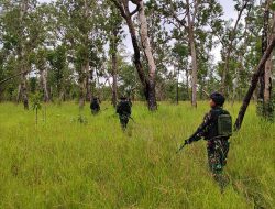 Satgas Pamtas Yonif 726/Tml Pastikan Kondisi Perbatasan RI-PNG Aman dan Kondusif