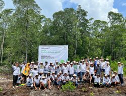 PT Position Gandeng KT Salawako Penanaman Mangrove Peringati Hari Lingkungan Hidup