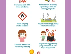 BPBD Halmahera Timur Cegah Sebelum dan Sesudah Bencana Kebakaran Hutan