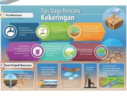 BPBD Halmahera Timur Info Tips Siaga Bencana Kekeringan