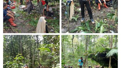 Berburu Burung Di Hutan Satu Warga Halmahera Timur Hilang