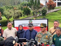 Pemerintah Tindak Tegas Pelanggar Kesesuaian Pemanfaatan Ruang, Bentuk Penanggulangan Bencana