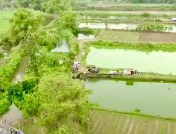 Setelah Program Penataan Akses Reforma Agraria, Potensi Desa Rejoagung Meningkat
