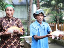 Desa Bandung Kembangkan Pembibitan dan Budidaya Ikan, Kampung Reforma Agraria Tingkatkan Perekonomian Masyarakat,