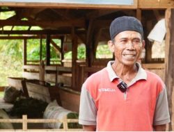 Untuk Jalankan Usaha Ternak Domba, Reforma Agraria Buka Akses Warga Desa Nunuk Baru