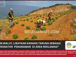 ANTAM MALUT, MENJAGA BUMI SELALU HIJAU, BERSAMA KARANG TARUNA PENANAMAN DI AREA REKLAMASI