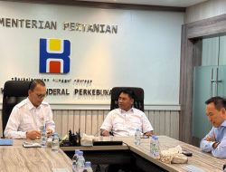 Miliki Potensi Lahan Melimpah, Halmahera Timur Bidik Bantuan Pabrik dan Bibit Unggul