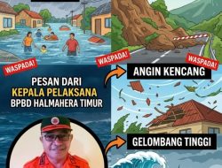 Hujan Deras Guyur Haltim, BPBD Imbau Masyarakat Waspada Banjir, Longsor, dan Pohon Tumbang