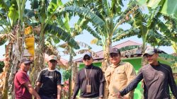 Pastikan Data dan Kondisi Tanah Sesuai, Panitia A Kantah Halmahera Timur Laksanakan Pemeriksaan Tanah di Desa Minamin