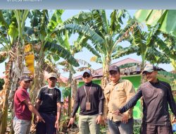 Pastikan Data dan Kondisi Tanah Sesuai, Panitia A Kantah Halmahera Timur Laksanakan Pemeriksaan Tanah di Desa Minamin